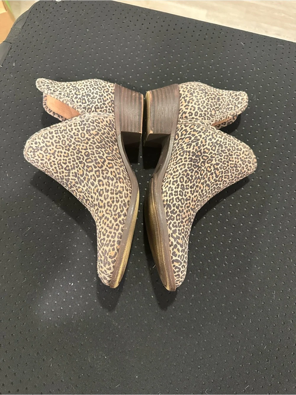 Lucky Brand leather Leopard Print Ankle Booties in Tan and Black